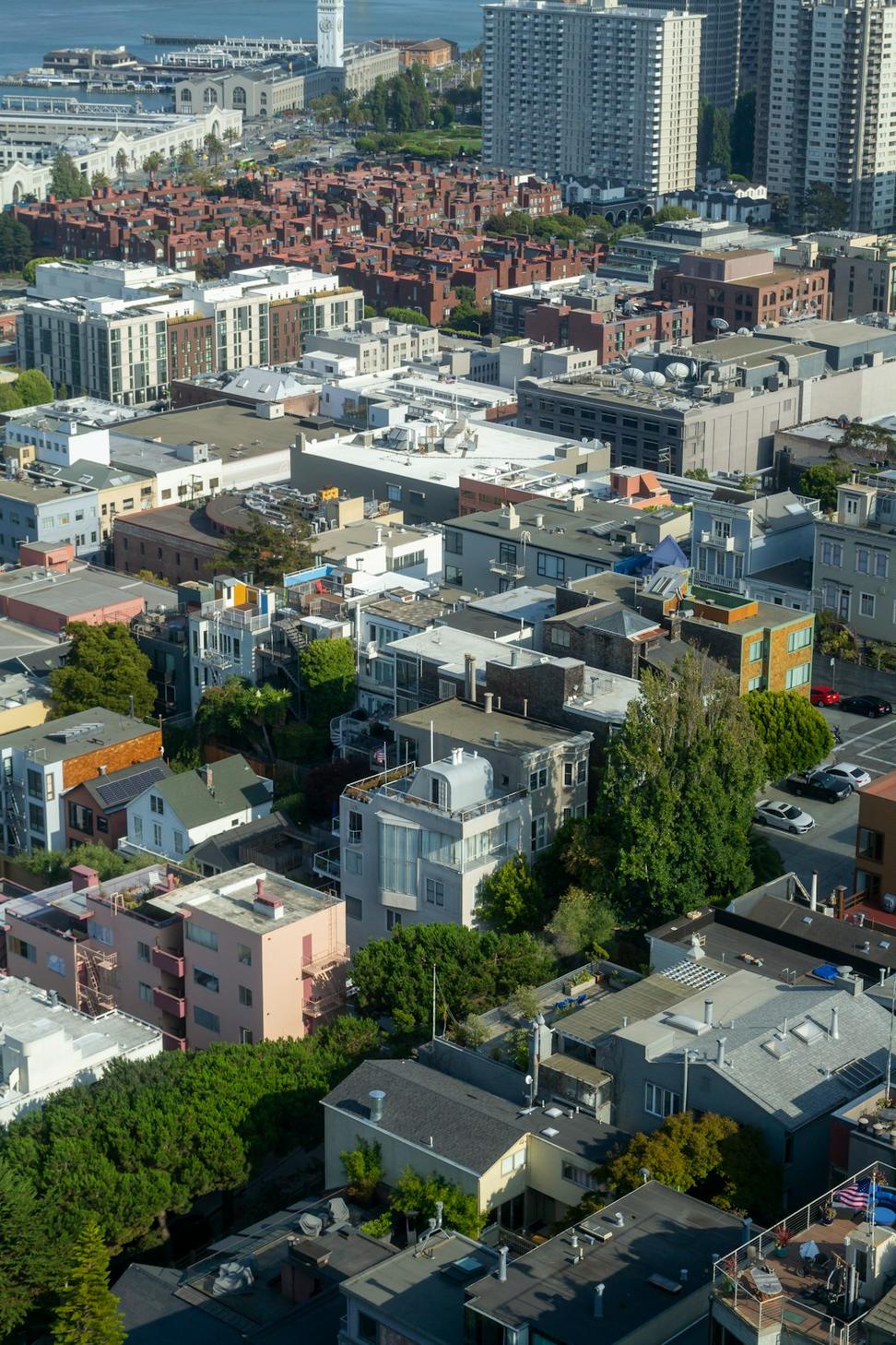 Urban Planning Development